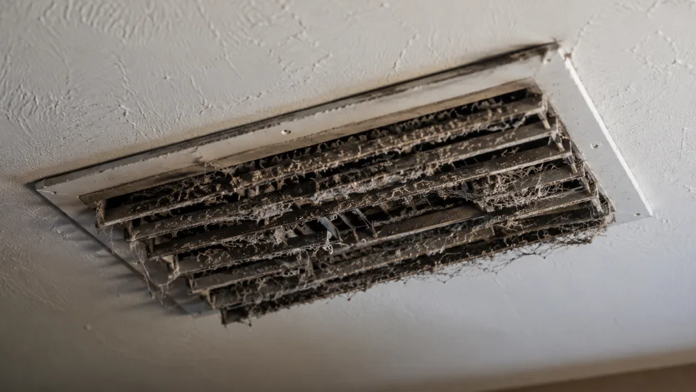 Documentation for Insurance and Restoration Planning
