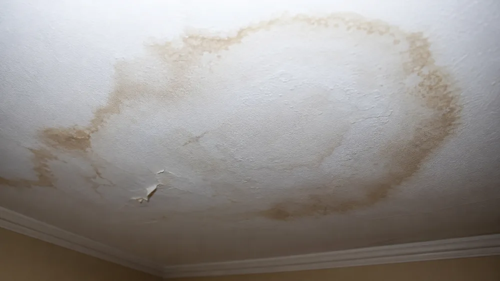 Documentation for Insurance and Restoration Planning